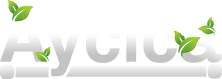 aycica transport responsable